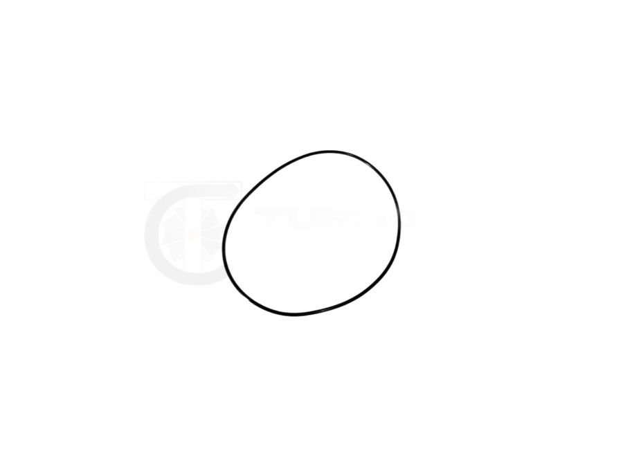O-ring korasa turbiny GT15-204 - Photo 2