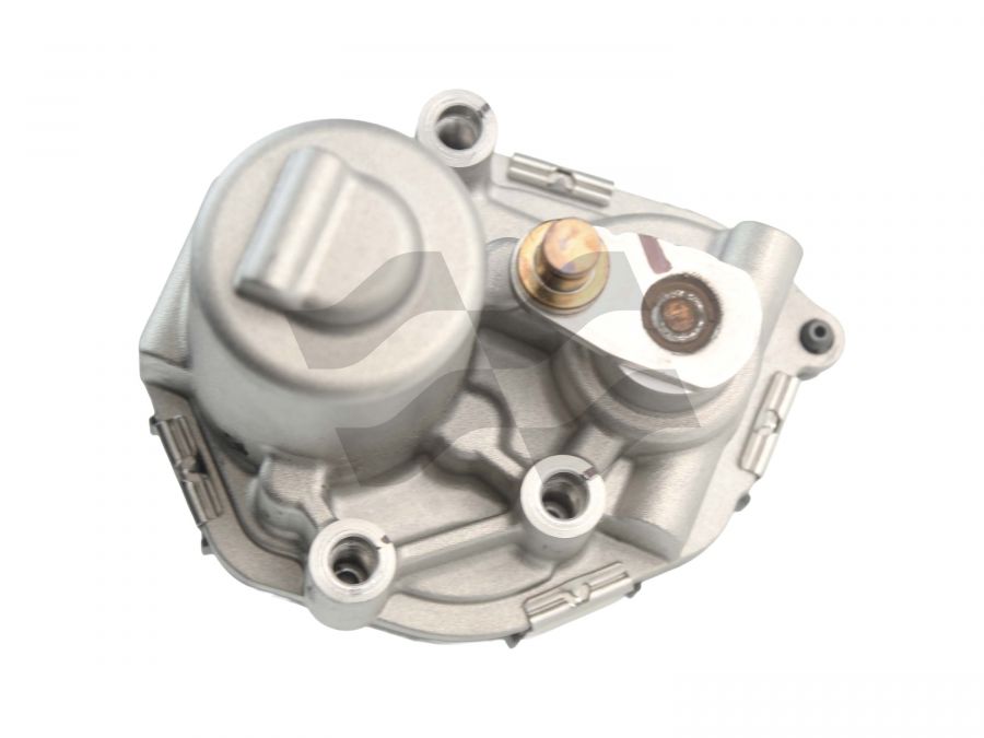 Réglage 835556-0110 à 878087-0004 05L253019P VW 2.0 TDI 147 kW 2020- - Photo 5