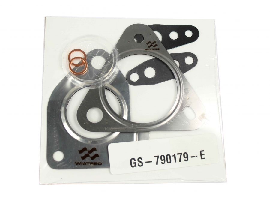 Mounting gasket SG-790179-E for 790179 